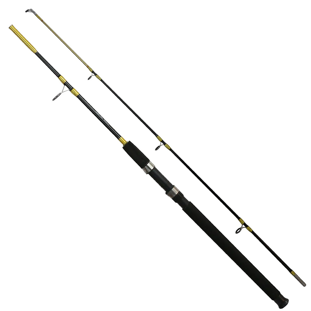 EUROFISH Forsa 100-200g Tekne/Bot Kamışı
