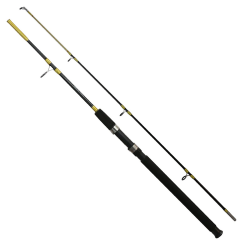 EUROFISH Forsa 100-200g Tekne/Bot Kamışı